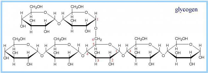 синтез глюкогена