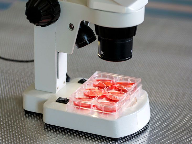 Исследование крови под микроскопом