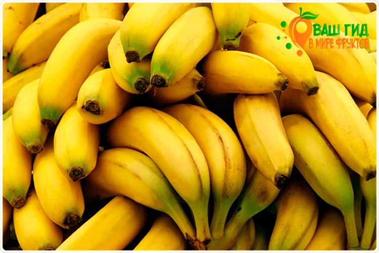 плоды бананов