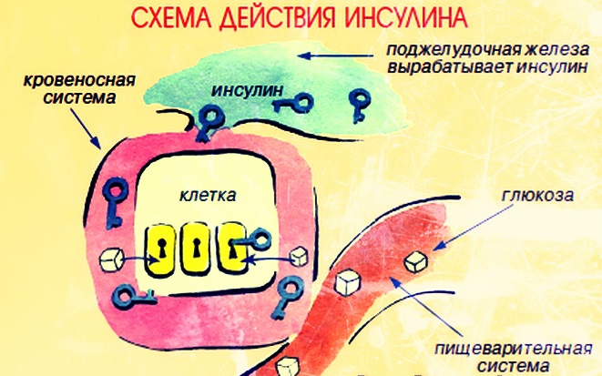 Масло черного тмина. Полезные свойства, как принимать, рецепты в народной медицине, косметологии. Противопоказания