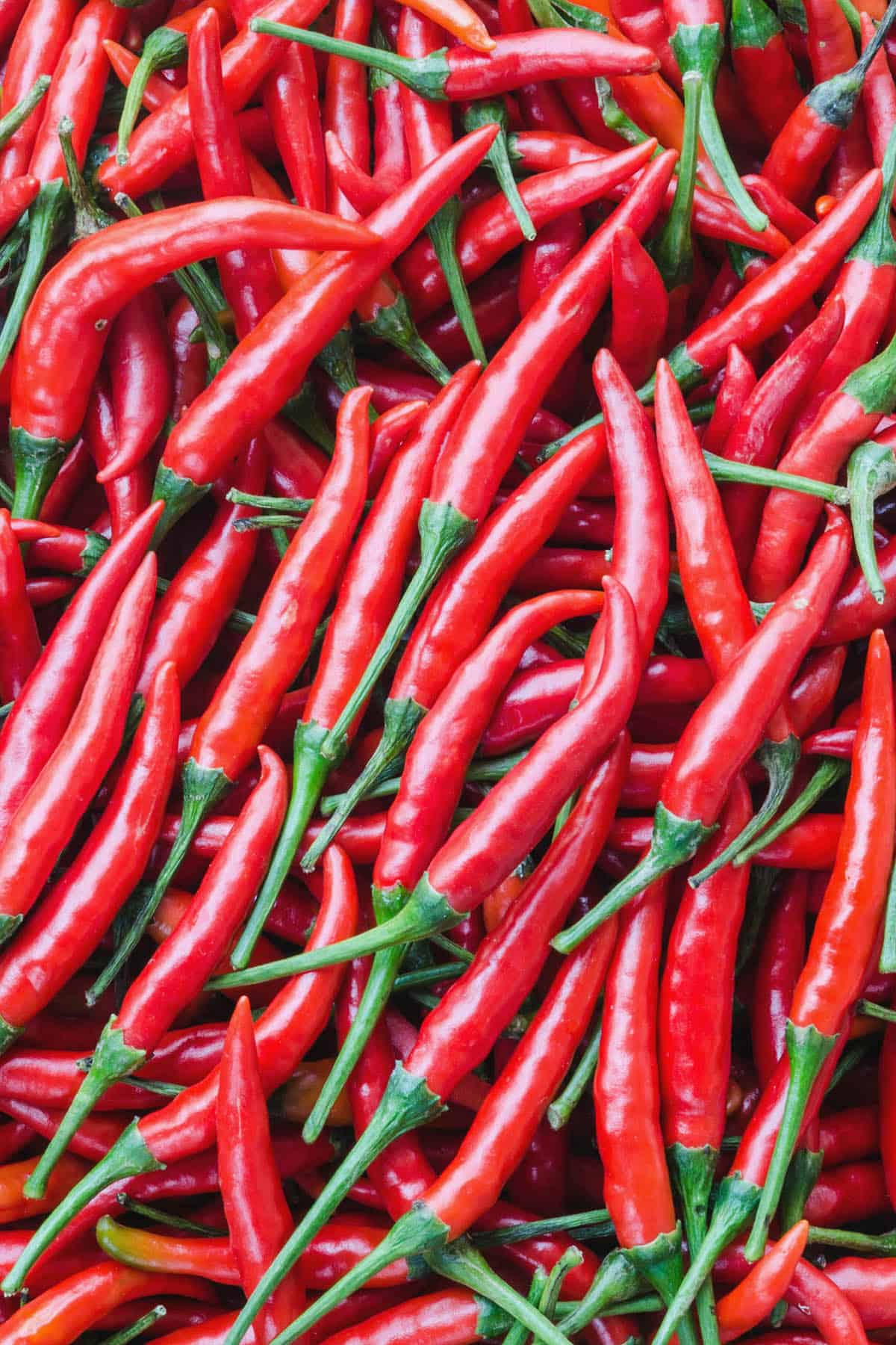 Cayenne Peppers – All About Them