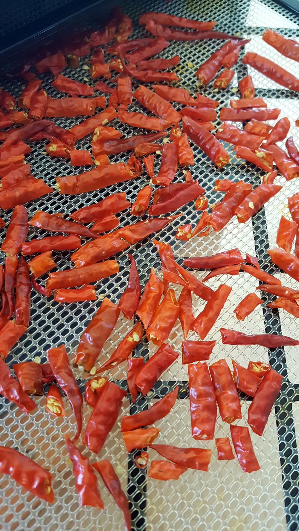 A handful of Cayenne Peppers