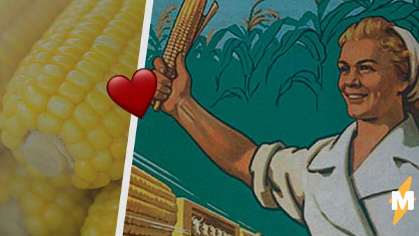 В России отмечают День кукурузы. А это не только национальное торжество, но и праздник мемов, покрытых тайной