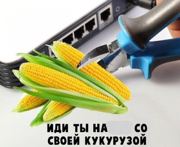 В России празднуют День кукурузного початка. Но это не только национальное торжество, но и праздник мемов