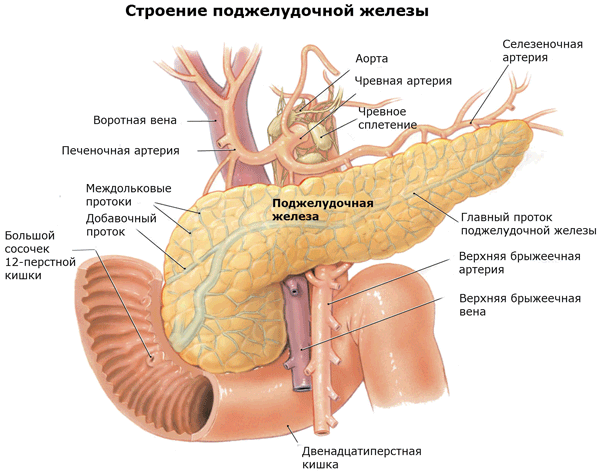 Cимптомы воспаления поджелудочной железы