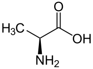 L-alanine. 