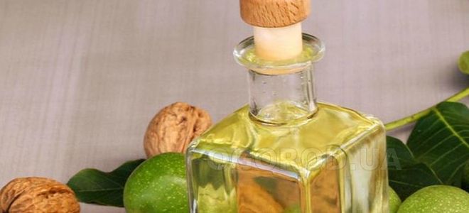 масло грецкого ореха полезные свойства и применение