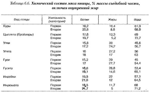 Что такое мясо птицы. Курятина